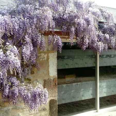 Des Chambauds - Allier - Auvergne -12 Pers Semesterbostad *